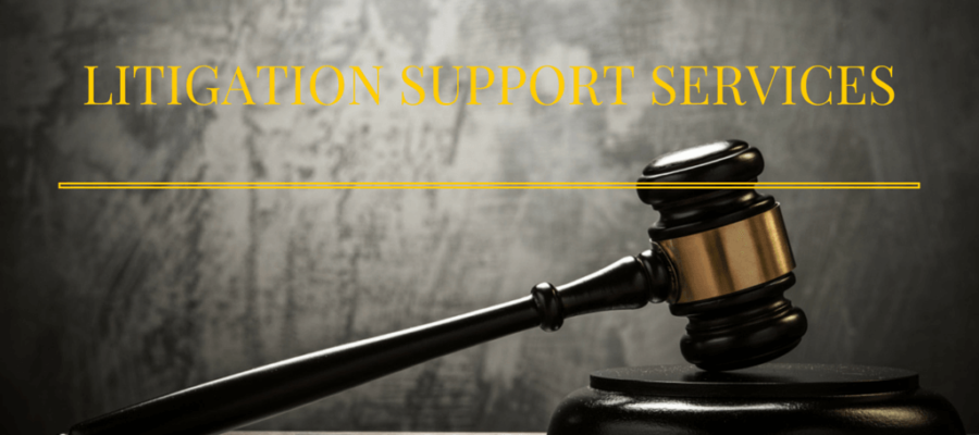 litigation support