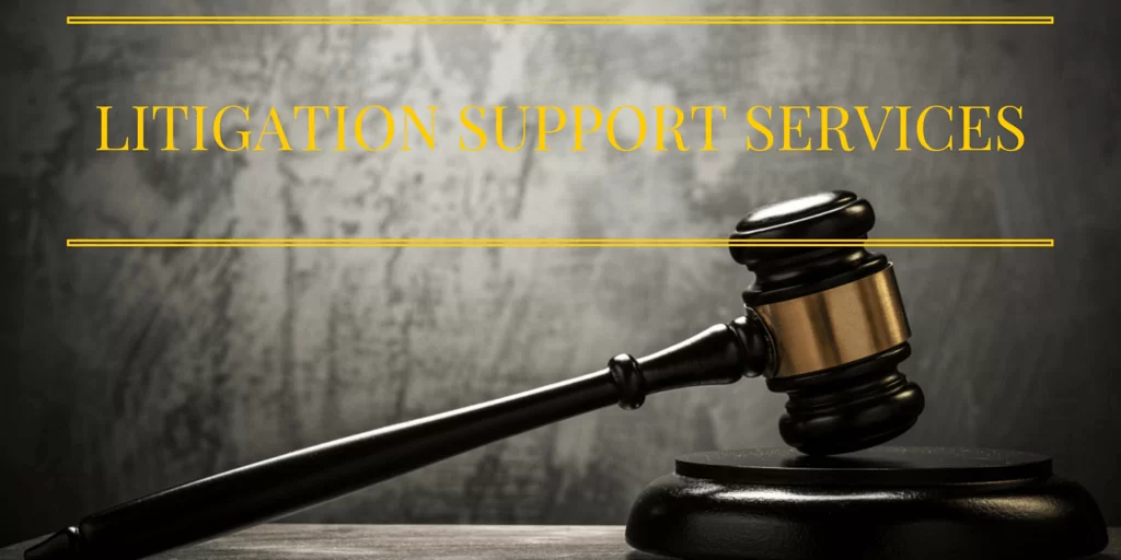Litigation Support Services