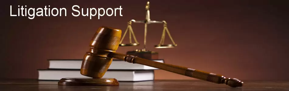 Litigation support